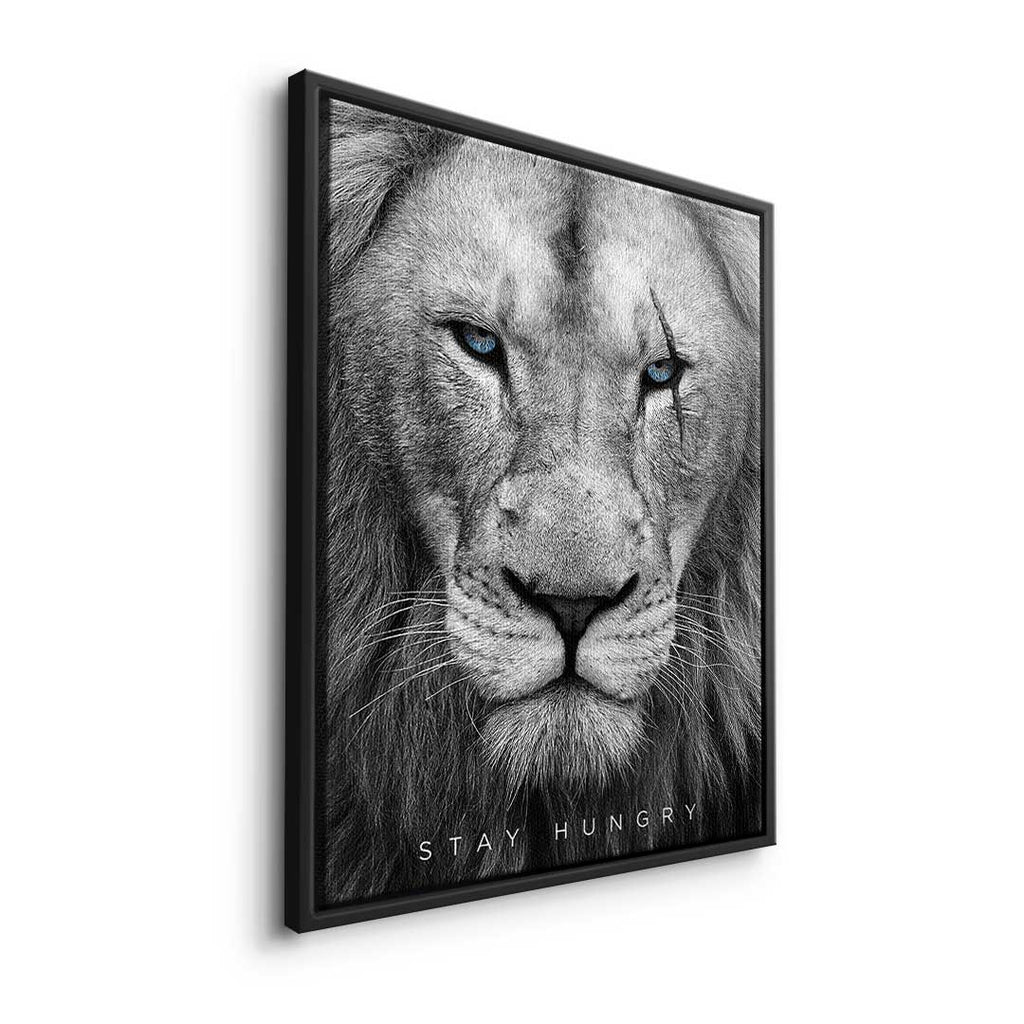 Hungry Lion