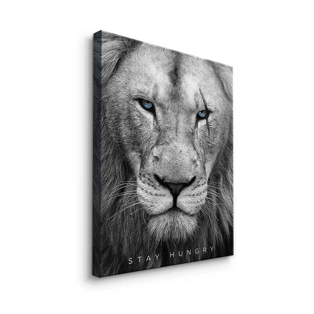 Hungry Lion