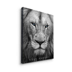 Hungry Lion