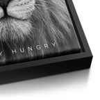 Hungry Lion