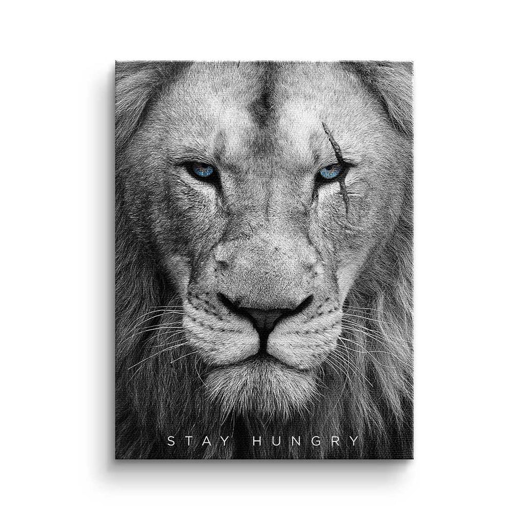 Hungry Lion