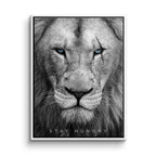 Hungry Lion