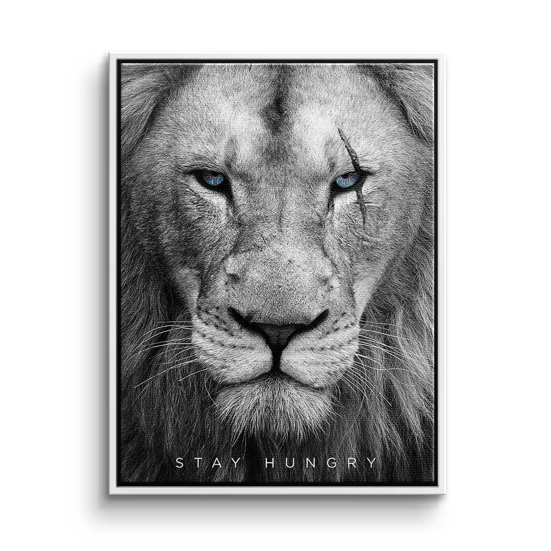 Hungry Lion