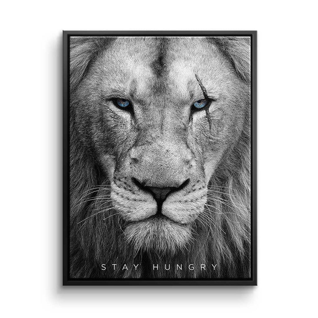 Hungry Lion