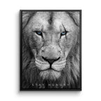 Hungry Lion