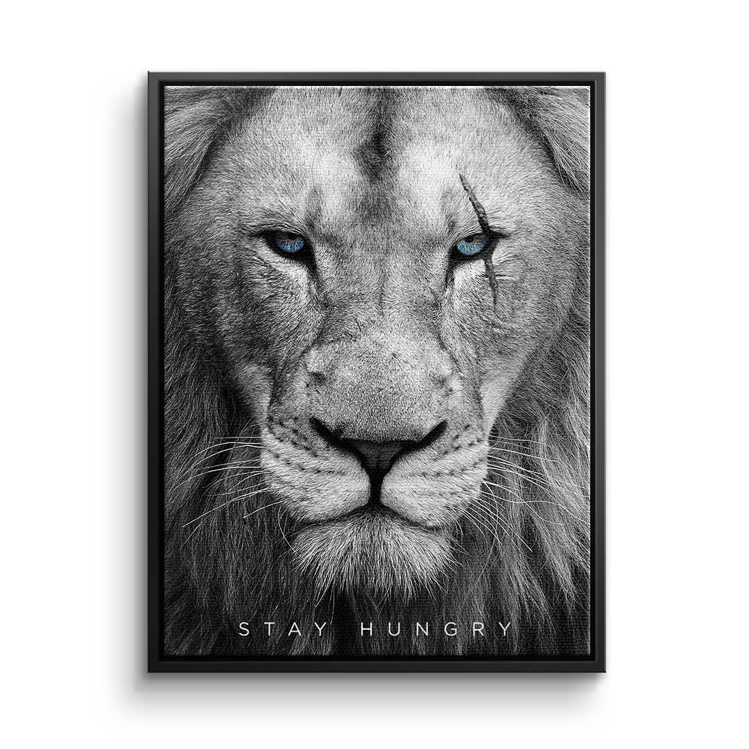 Hungry Lion