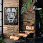 Hungry Lion